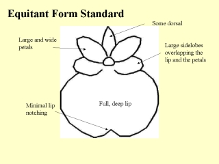 Equitant Form Standard